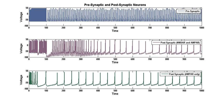 3 neurons - pre and post synaptic neurons.jpg
